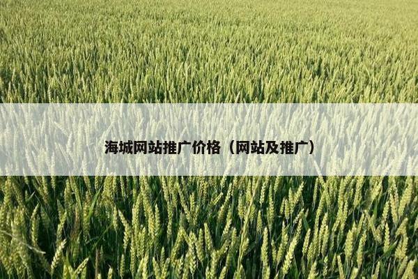 海城网站推广价格（网站及推广）