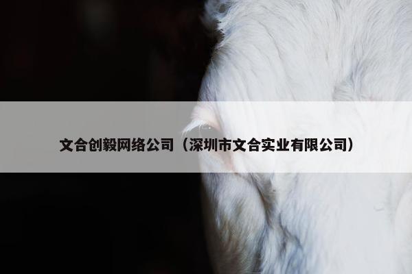 文合创毅网络公司（深圳市文合实业有限公司）