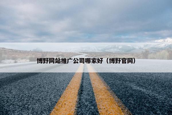 博野网站推广公司哪家好（博野官网）
