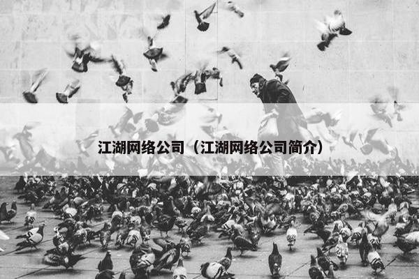 江湖网络公司（江湖网络公司简介）