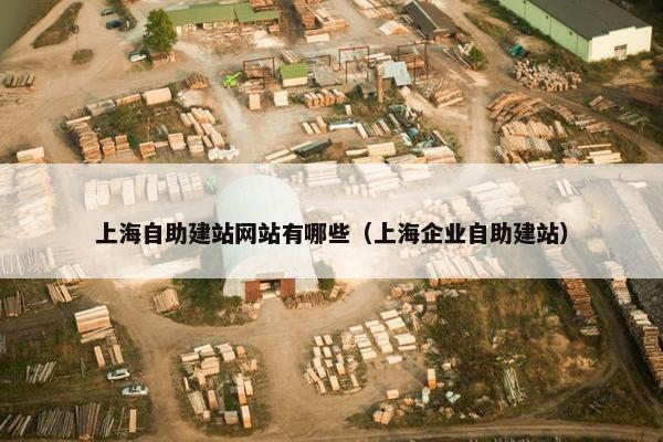 上海自助建站网站有哪些（上海企业自助建站）