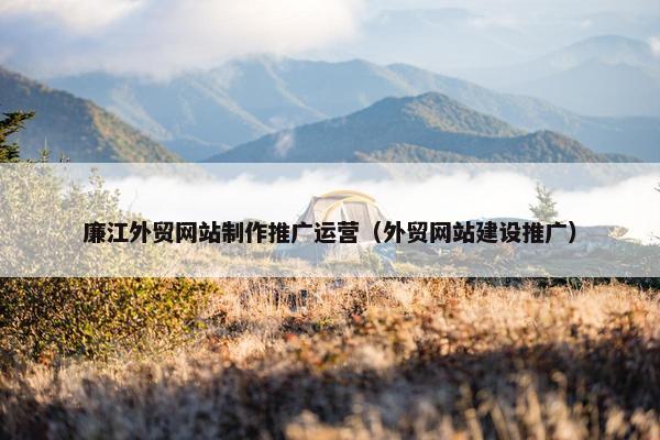 廉江外贸网站制作推广运营（外贸网站建设推广）