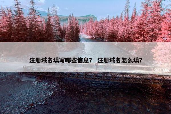 注册域名填写哪些信息？ 注册域名怎么填？