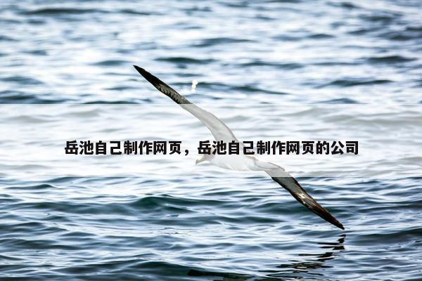 岳池自己制作网页，岳池自己制作网页的公司