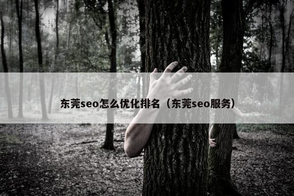 东莞seo怎么优化排名（东莞seo服务）