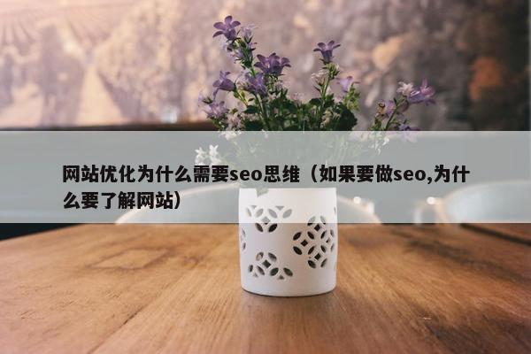 网站优化为什么需要seo思维（如果要做seo,为什么要了解网站）