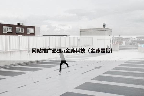网站推广必选a金脉科技（金脉是指）