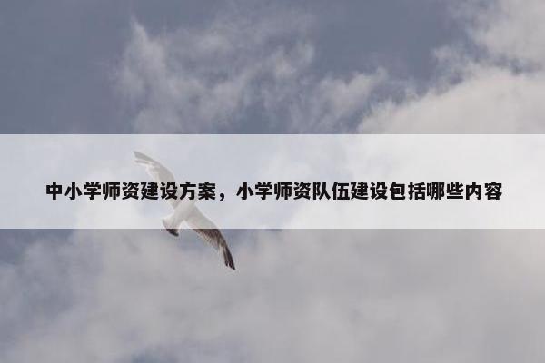 中小学师资建设方案，小学师资队伍建设包括哪些内容