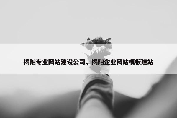揭阳专业网站建设公司，揭阳企业网站模板建站