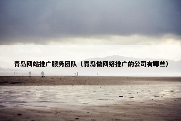 青岛网站推广服务团队（青岛做网络推广的公司有哪些）