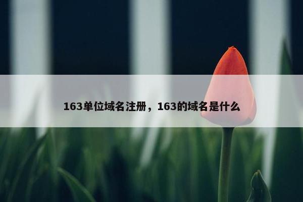 163单位域名注册，163的域名是什么