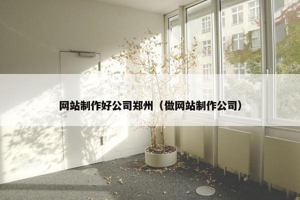 网站制作好公司郑州（做网站制作公司）