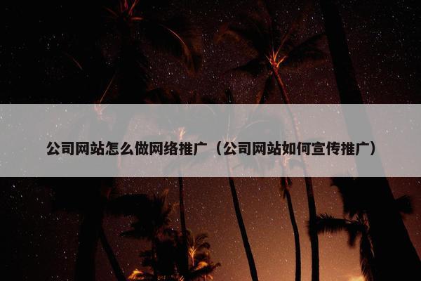公司网站怎么做网络推广（公司网站如何宣传推广）