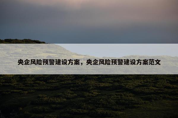 央企风险预警建设方案，央企风险预警建设方案范文