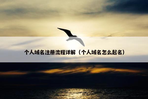 个人域名注册流程详解（个人域名怎么起名）