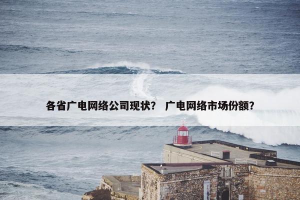 各省广电网络公司现状？ 广电网络市场份额？