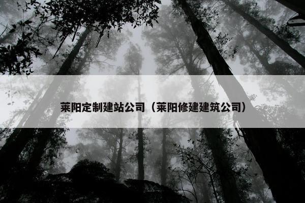 莱阳定制建站公司（莱阳修建建筑公司）