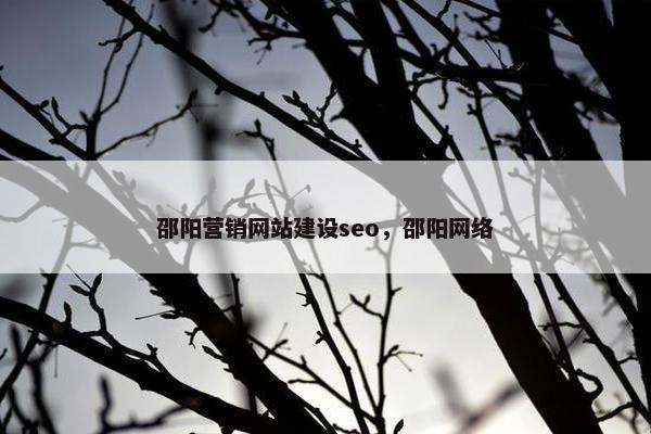 邵阳营销网站建设seo，邵阳网络