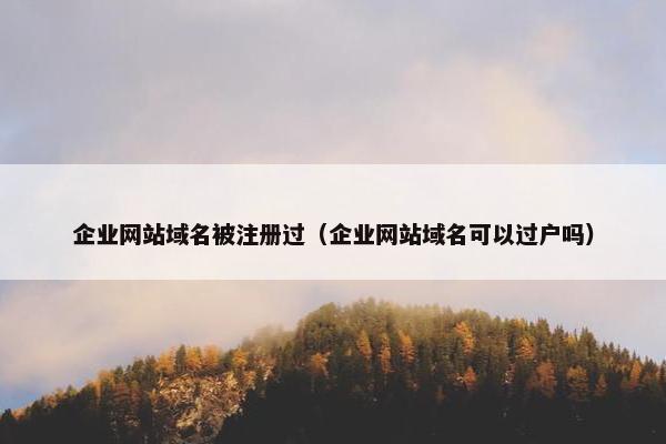 企业网站域名被注册过（企业网站域名可以过户吗）