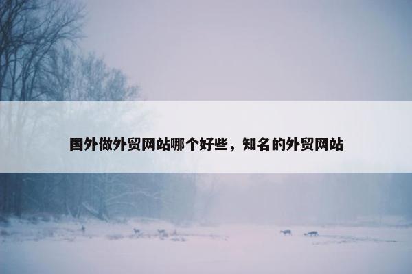 国外做外贸网站哪个好些，知名的外贸网站