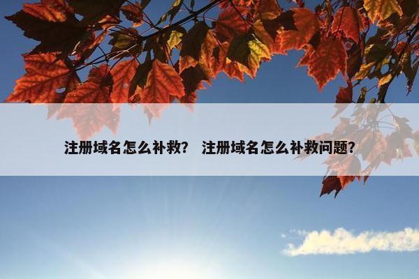 注册域名怎么补救？ 注册域名怎么补救问题？