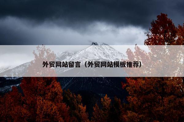 外贸网站留言（外贸网站模板推荐）