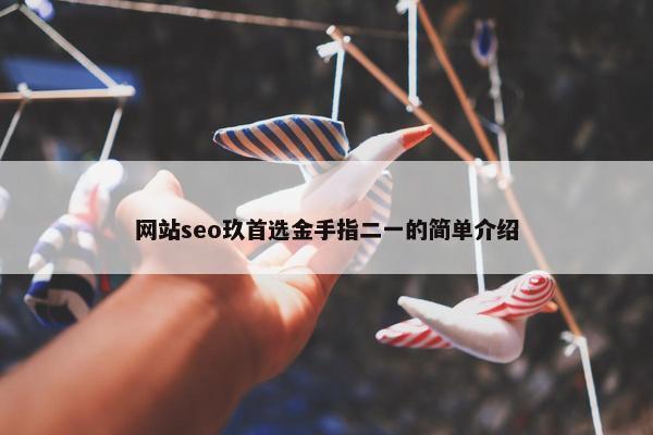 网站seo玖首选金手指二一的简单介绍