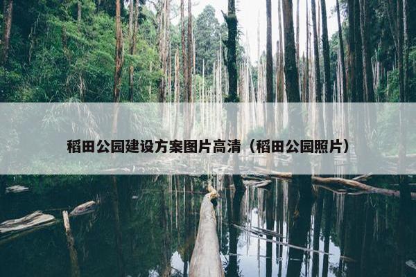 稻田公园建设方案图片高清（稻田公园照片）