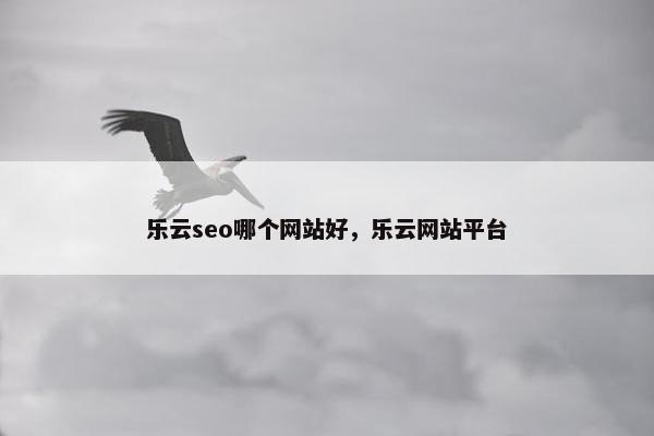 乐云seo哪个网站好，乐云网站平台