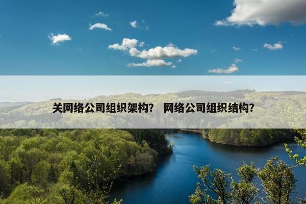 关网络公司组织架构？ 网络公司组织结构？