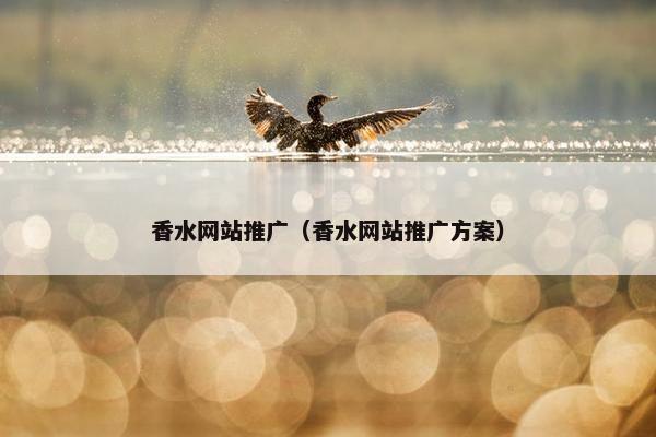 香水网站推广（香水网站推广方案）