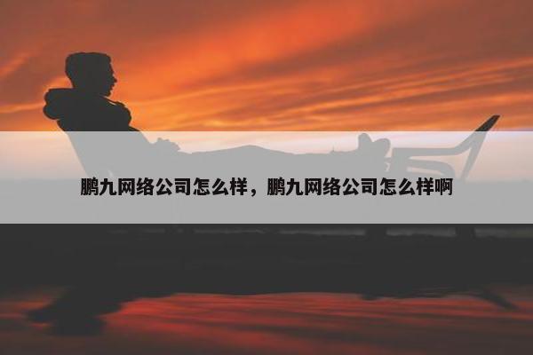 鹏九网络公司怎么样，鹏九网络公司怎么样啊