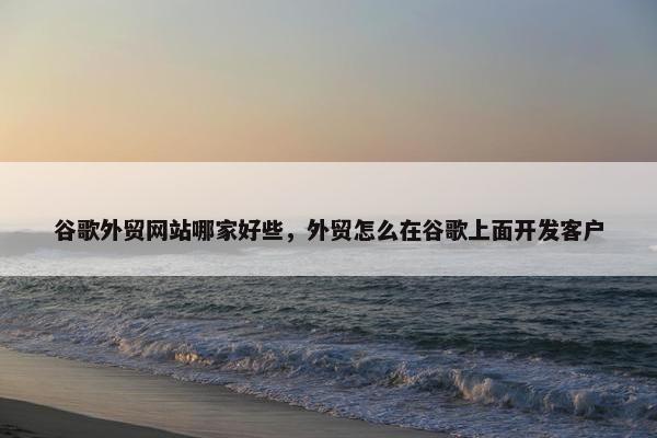 谷歌外贸网站哪家好些，外贸怎么在谷歌上面开发客户