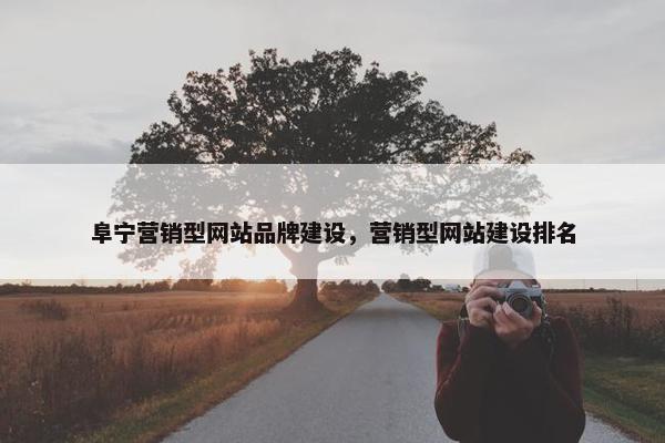 阜宁营销型网站品牌建设，营销型网站建设排名