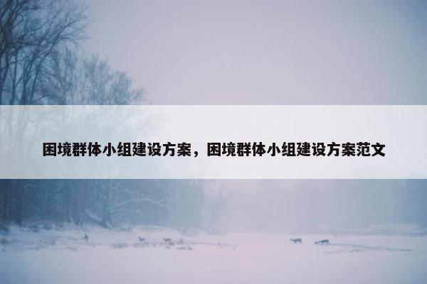 困境群体小组建设方案，困境群体小组建设方案范文