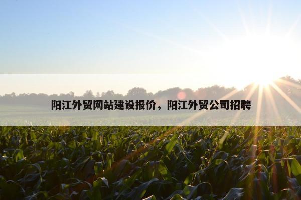阳江外贸网站建设报价，阳江外贸公司招聘