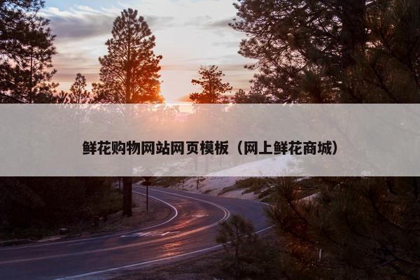 鲜花购物网站网页模板（网上鲜花商城）
