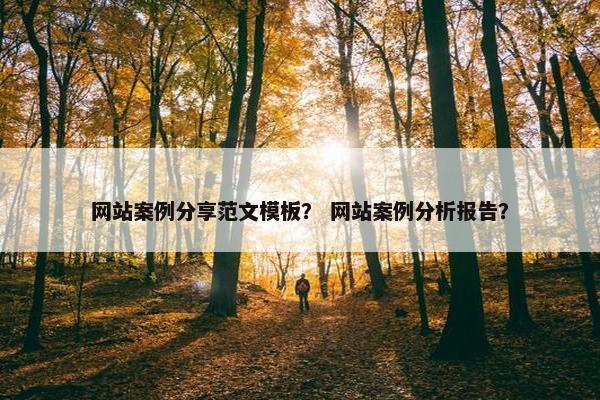 网站案例分享范文模板？ 网站案例分析报告？