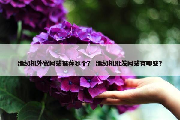 缝纫机外贸网站推荐哪个？ 缝纫机批发网站有哪些？