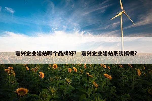 嘉兴企业建站哪个品牌好？ 嘉兴企业建站系统模板？