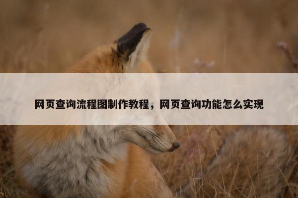 网页查询流程图制作教程，网页查询功能怎么实现