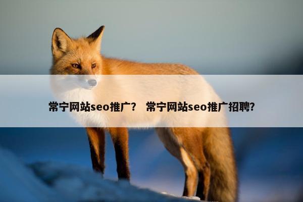常宁网站seo推广？ 常宁网站seo推广招聘？