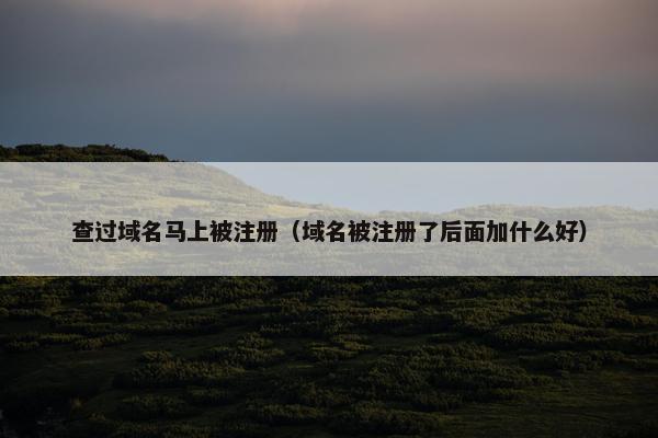 查过域名马上被注册（域名被注册了后面加什么好）