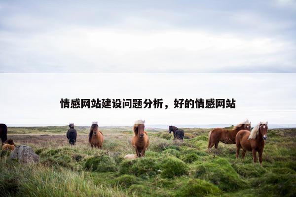 情感网站建设问题分析，好的情感网站