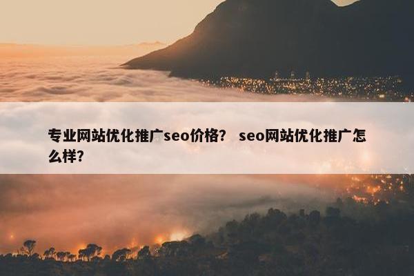 专业网站优化推广seo价格？ seo网站优化推广怎么样？