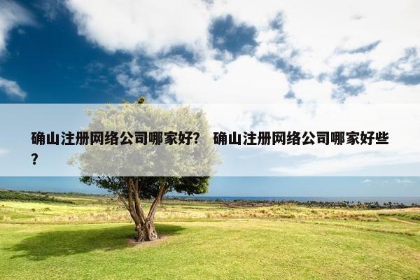 确山注册网络公司哪家好？ 确山注册网络公司哪家好些？
