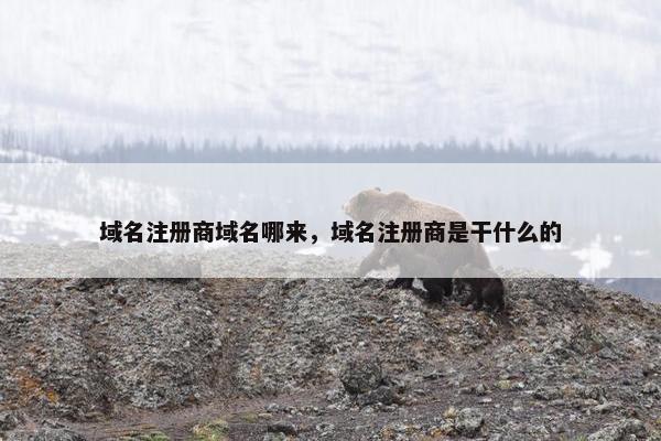 域名注册商域名哪来，域名注册商是干什么的