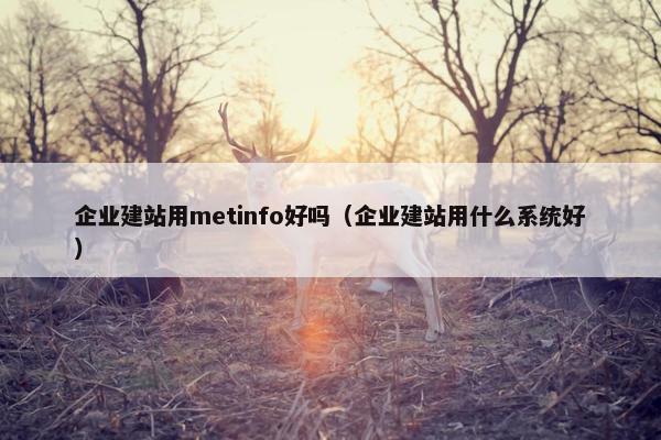 企业建站用metinfo好吗（企业建站用什么系统好）