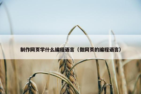 制作网页学什么编程语言（做网页的编程语言）