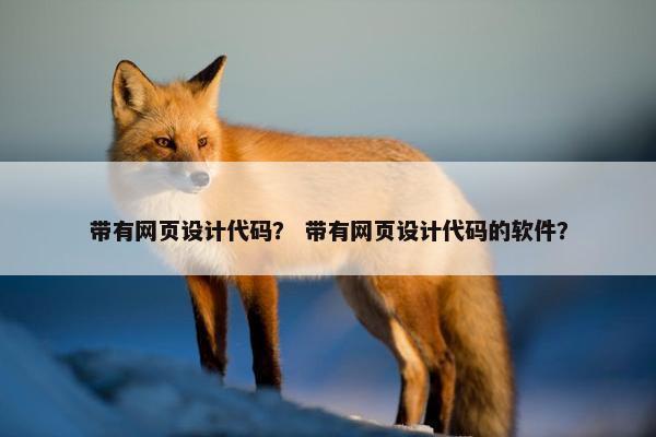 带有网页设计代码？ 带有网页设计代码的软件？